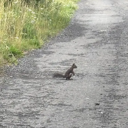 Pod Kriváňom Chalet Vychodna