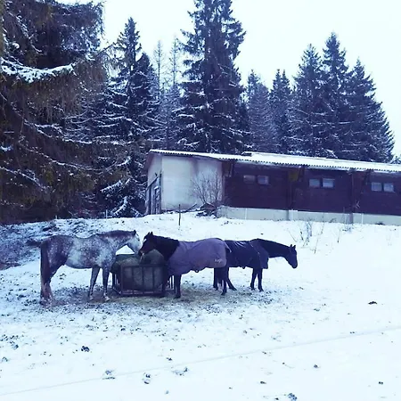 Pod Krivanom