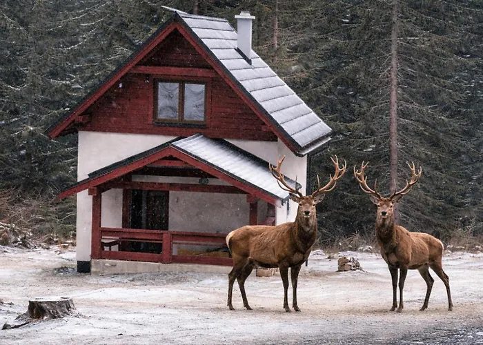 Chalet Pod Kriváňom